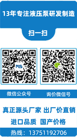 派力士-專注液壓泵研發(fā)制造12年